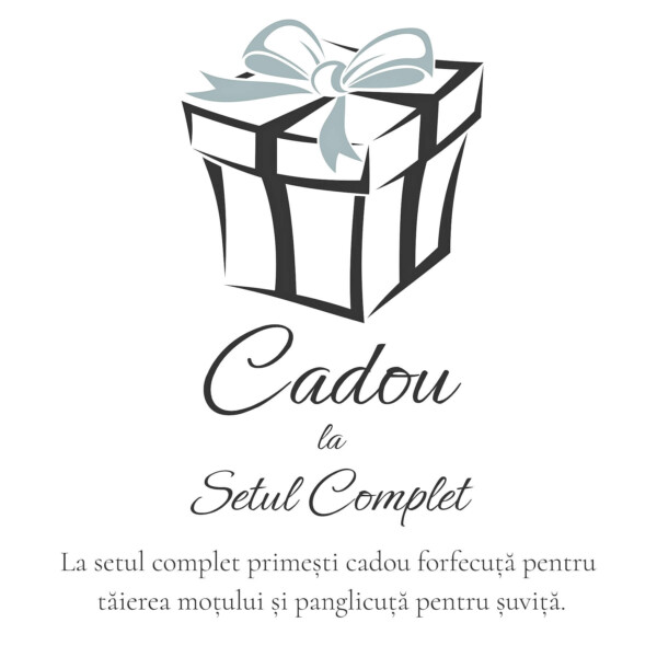 Cadou set complet foarfece panglica mot