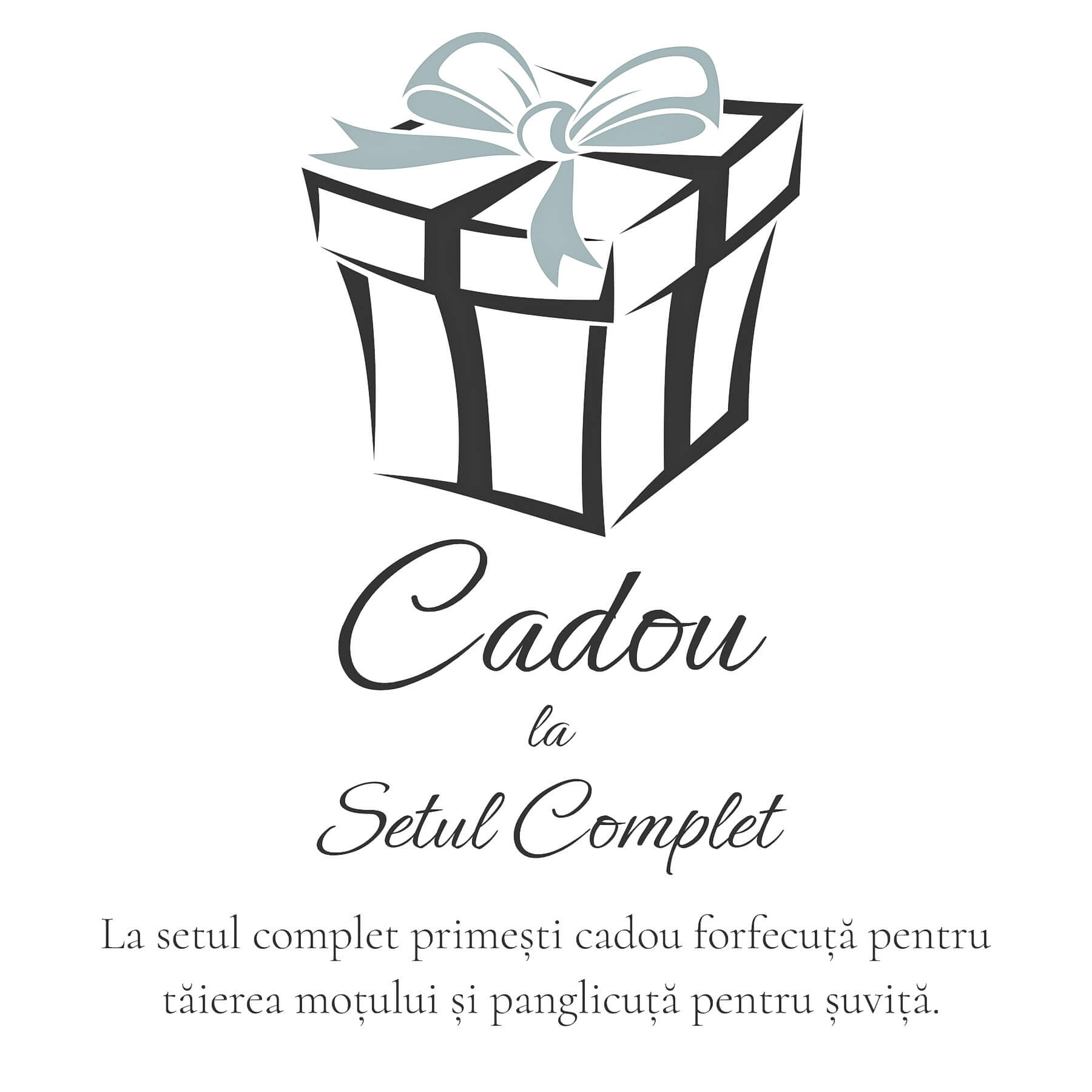 Cadou set complet foarfece panglica mot