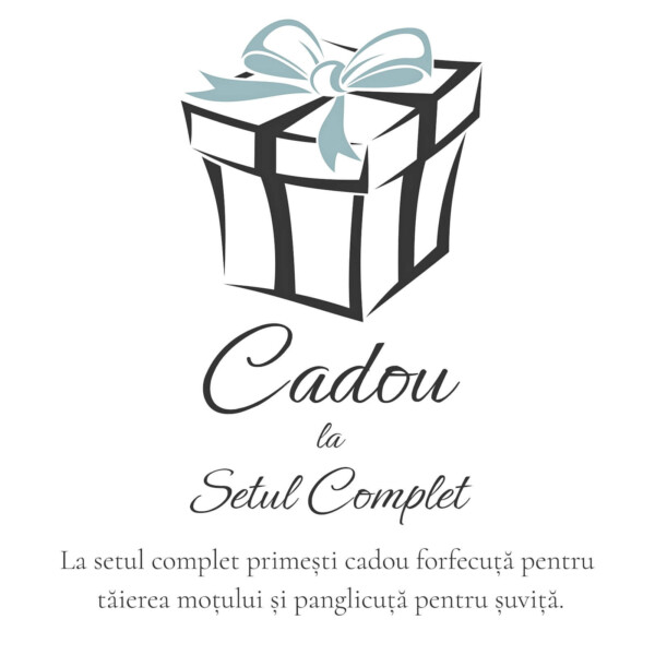 Cadou Special Taierea Motului Space Adventure